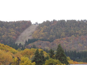 DSCN0939