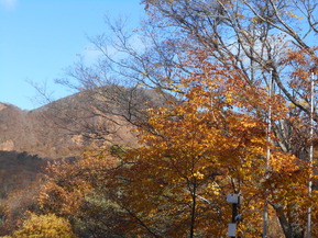 DSCN5883