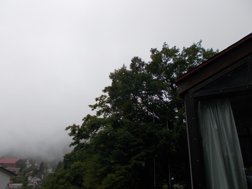 DSCN0502