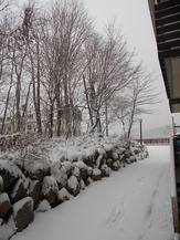 DSCN1581