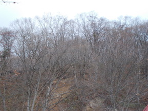 DSCN1465