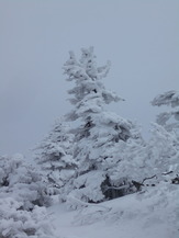 DSCN5525