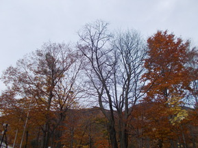 DSCN1161