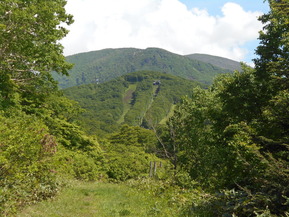 DSCN4673