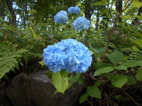 DSCN4894