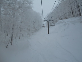 DSCN5037