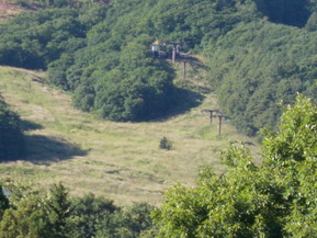 DSCN0361