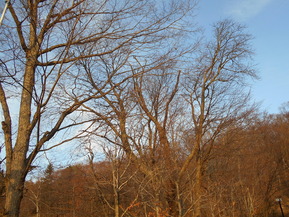 DSCN8074