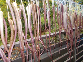 DSCN0844