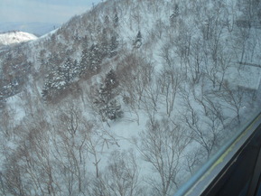DSCN9830