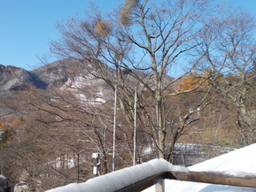 DSCN1331