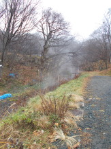 DSCN1501