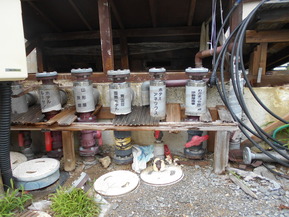 DSCN2453