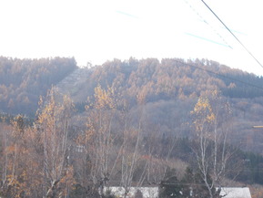 DSCN1254