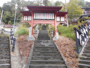 DSCN5460