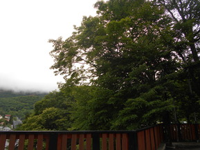 DSCN4885