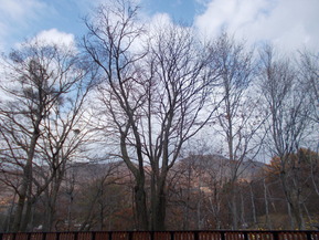 DSCN1280