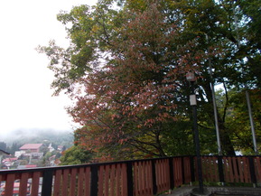 DSCN0766