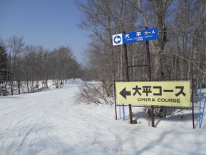 DSCN5886