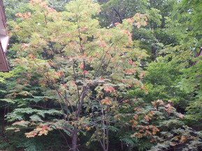 DSCN0260