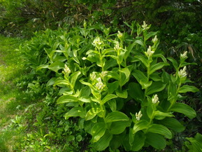 IMGP0901