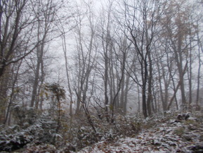 DSCN1301