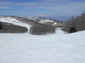 DSCN5615