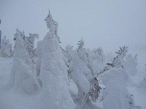 DSCN0517