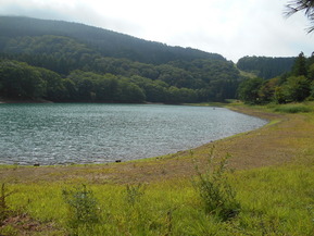 DSCN2947