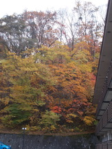 DSCN1164