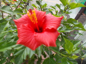 DSCN0772