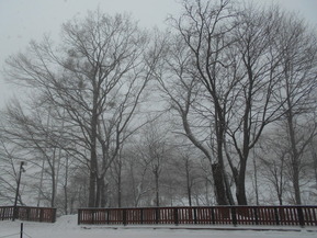 DSCN0657