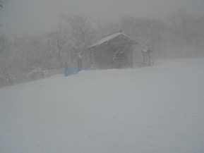 DSCN0864