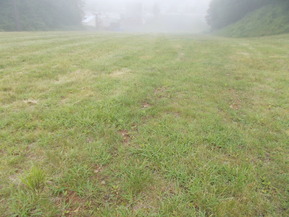 DSCN0015