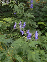 DSCN2869