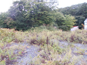DSCN0656