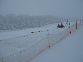 DSCN0601