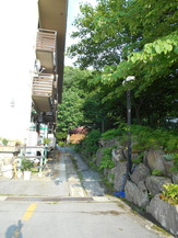 DSCN0997