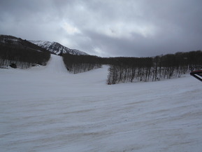 DSCN2273