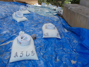 DSCN0736