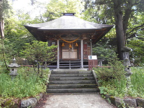 DSCN4700