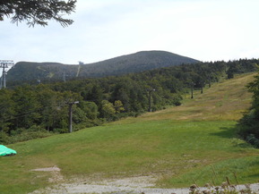 DSCN5368