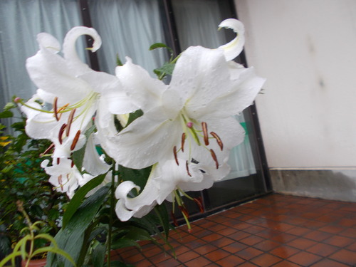 DSCN0210