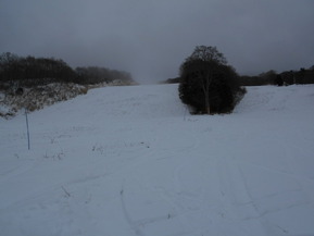 DSCN1915