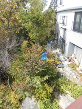DSCN5710