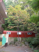 DSCN0438