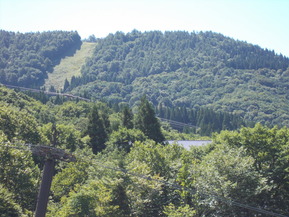 DSCN0442