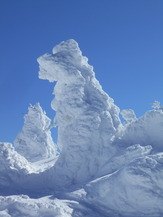 DSCN5009