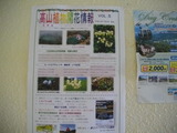 409012dc.jpg