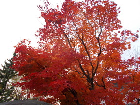 DSCN1224